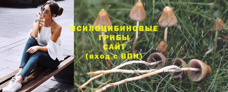 Галлюциногенные грибы Magic Shrooms  Серпухов 